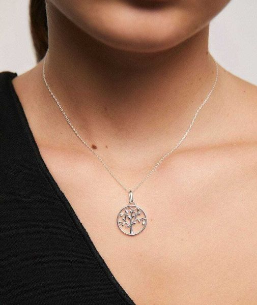 c549045d-arbol-vida