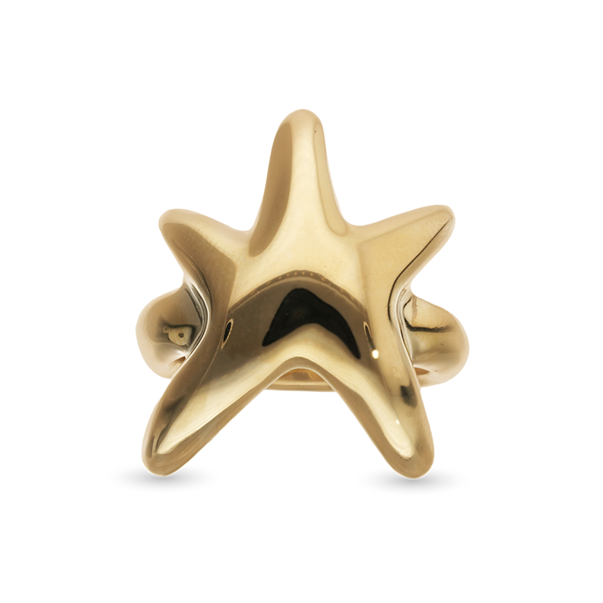 ANI0881ORO00012