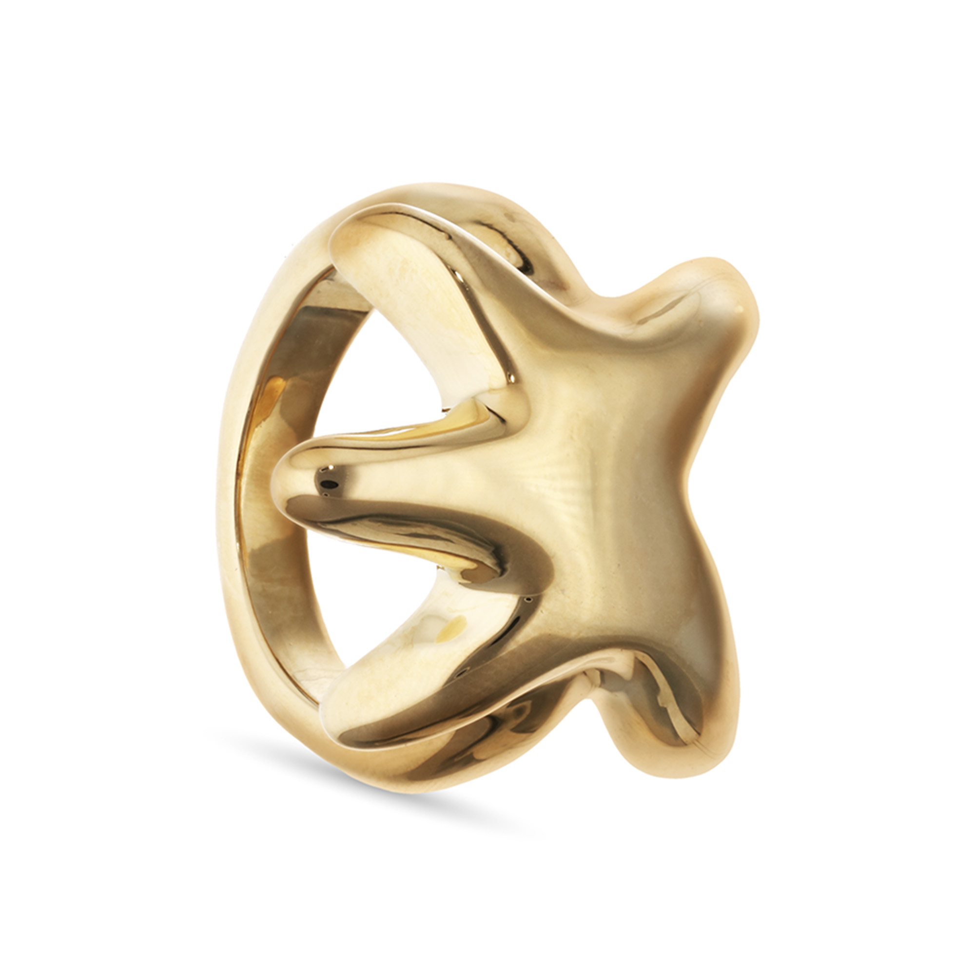 ANI0881ORO00012_1